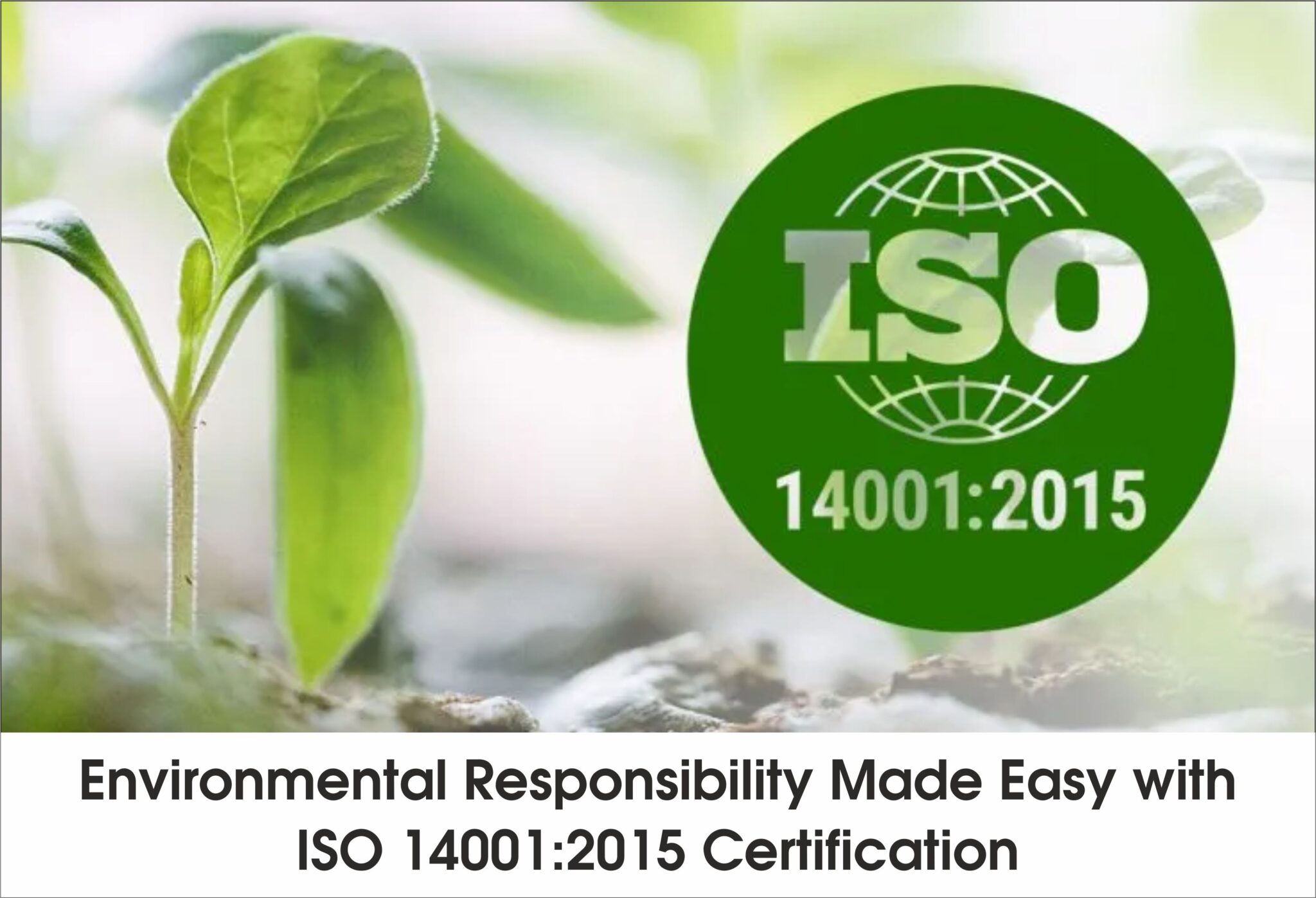 Environmental Responsibility Made Easy with ISO 14001 Certification
