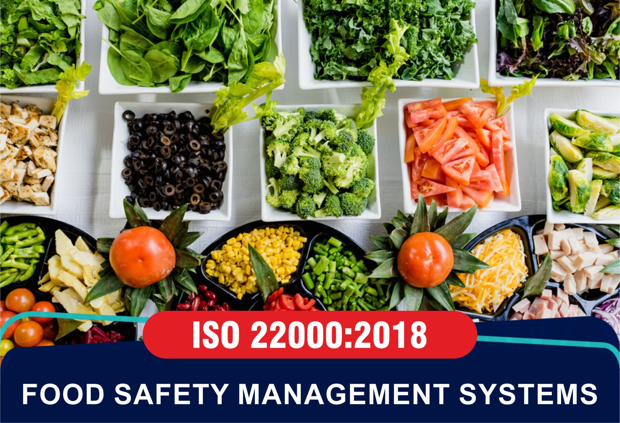 ISO 22000 Food Safety Management Systems