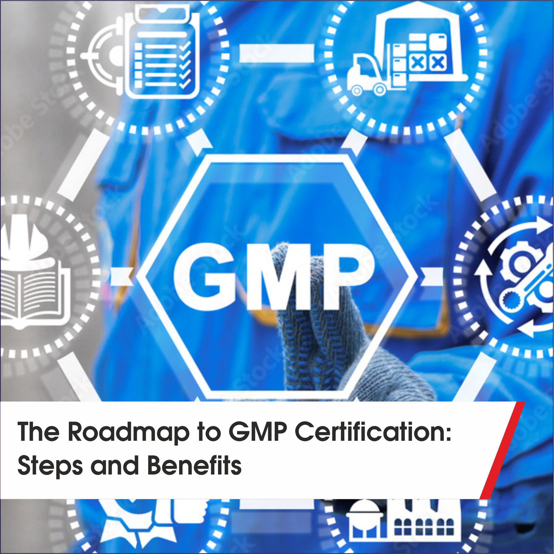 The Roadmap to GMP Certification: Steps and Benefits