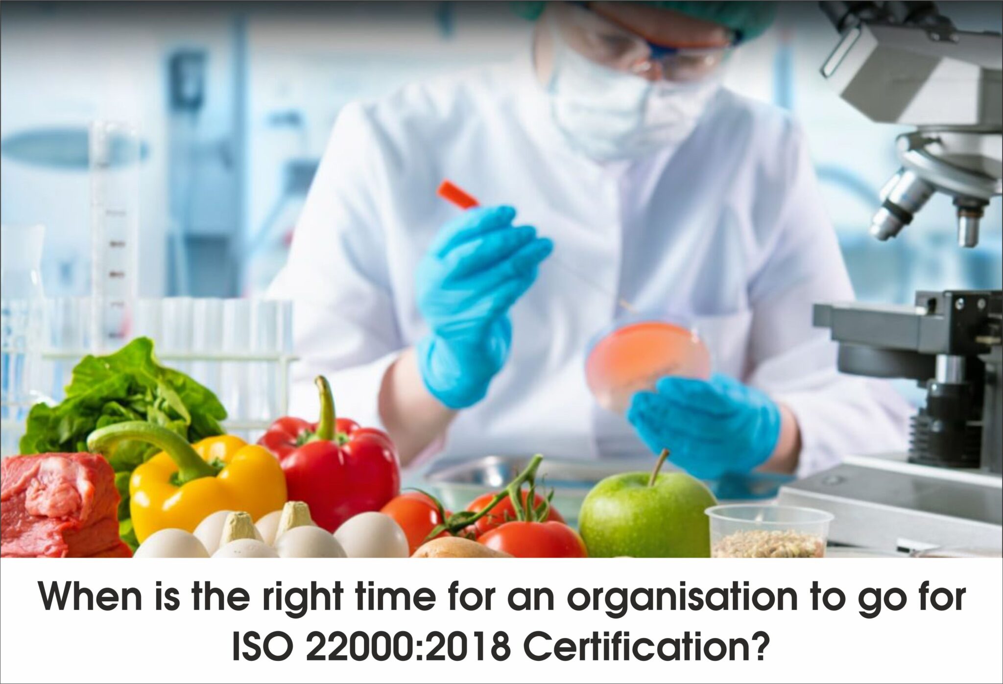 When is the right time for an organisation to go for ISO 22000:2018 Certification?